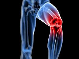 Introduction to knee health