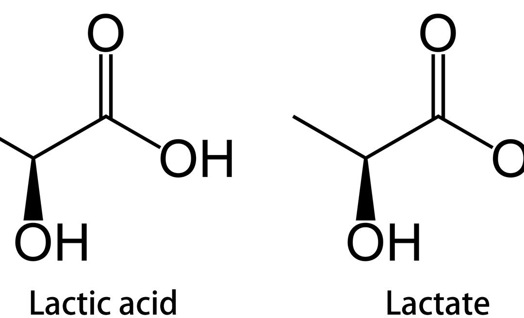 Lactic Acid: What it is, what it isn’t